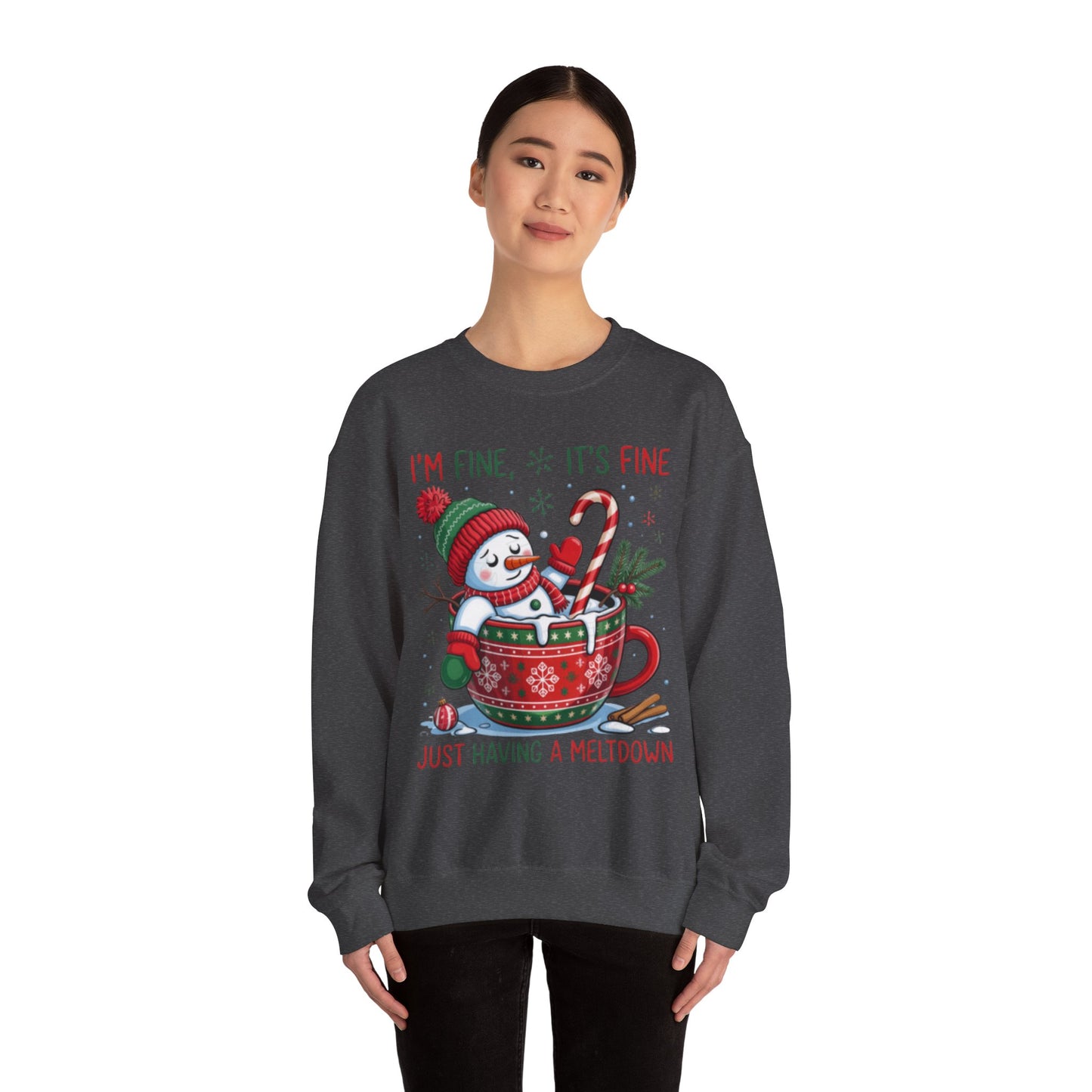 Holiday Christmas Funny and Cute Sweater