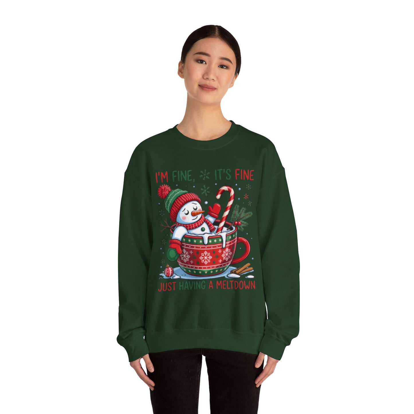 Holiday Christmas Funny and Cute Sweater
